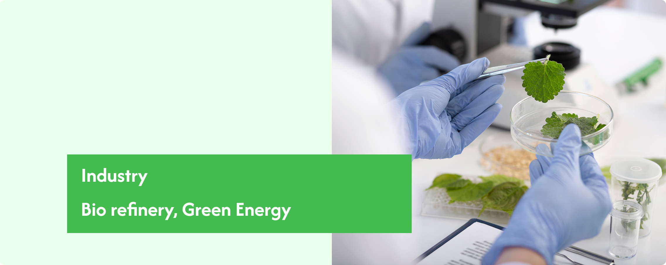 Bio refinery Green Energy